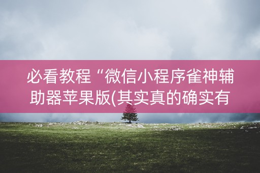 必看教程“微信小程序雀神辅助器苹果版(其实真的确实有挂)