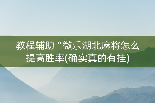 教程辅助“微乐湖北麻将怎么提高胜率(确实真的有挂)