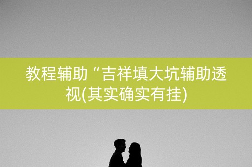 教程辅助“吉祥填大坑辅助透视(其实确实有挂)