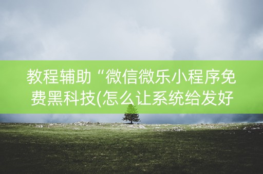 教程辅助“微信微乐小程序免费黑科技(怎么让系统给发好牌)