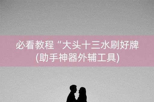 必看教程“大头十三水刷好牌(助手神器外辅工具)