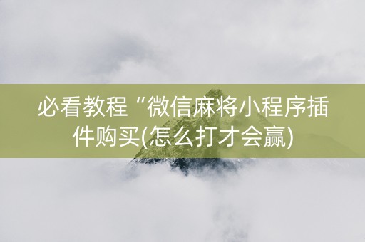 必看教程“微信麻将小程序插件购买(怎么打才会赢)