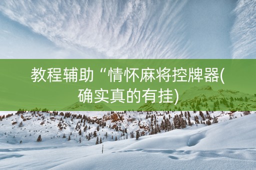 教程辅助“情怀麻将控牌器(确实真的有挂)
