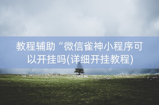 教程辅助“微信雀神小程序可以开挂吗(详细开挂教程)