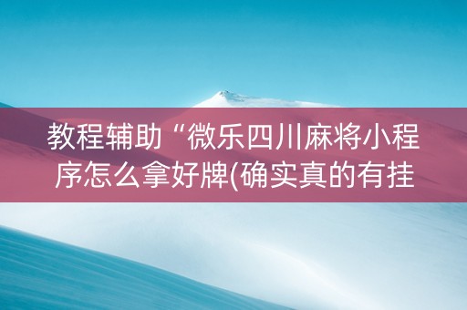 教程辅助“微乐四川麻将小程序怎么拿好牌(确实真的有挂)