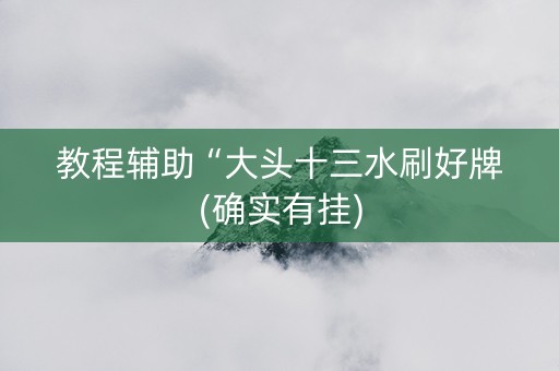 教程辅助“大头十三水刷好牌(确实有挂)