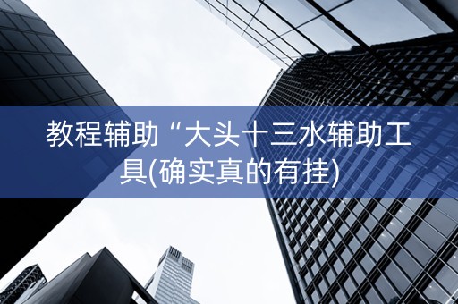 教程辅助“大头十三水辅助工具(确实真的有挂)