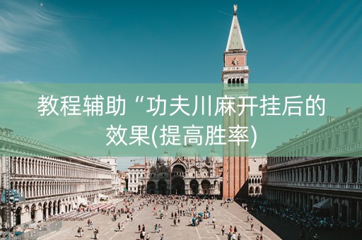 教程辅助“功夫川麻开挂后的效果(提高胜率)