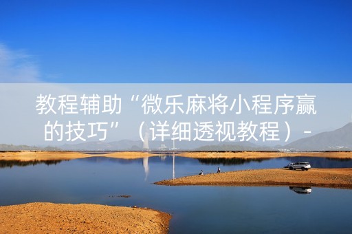教程辅助“微乐麻将小程序赢的技巧”（详细透视教程）-哔哩哔哩