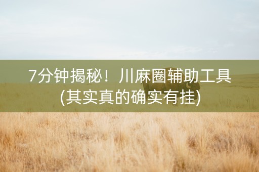 7分钟揭秘！川麻圈辅助工具(其实真的确实有挂)