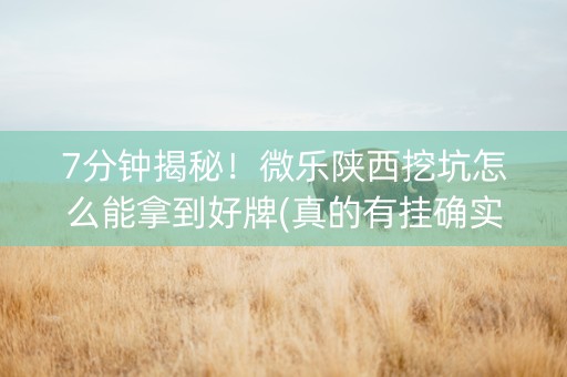 7分钟揭秘！微乐陕西挖坑怎么能拿到好牌(真的有挂确实有挂)