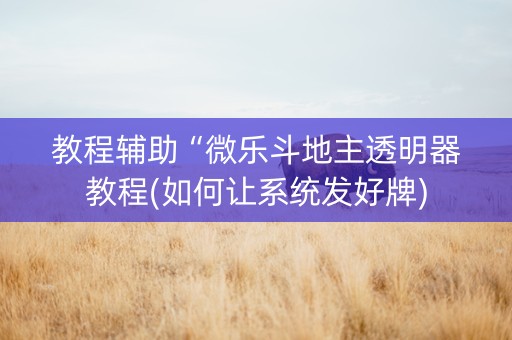 教程辅助“微乐斗地主透明器教程(如何让系统发好牌)