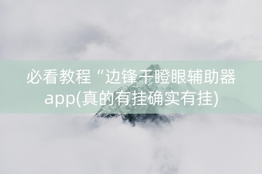 必看教程“边锋干瞪眼辅助器app(真的有挂确实有挂)