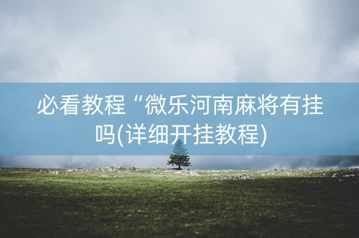 必看教程“微乐河南麻将有挂吗(详细开挂教程)