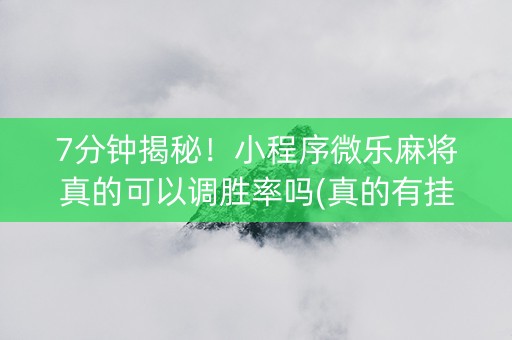 7分钟揭秘！小程序微乐麻将真的可以调胜率吗(真的有挂确实有挂)