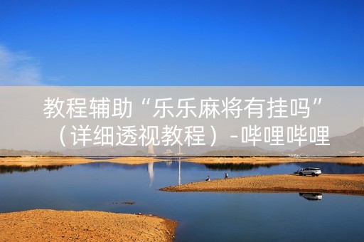 教程辅助“乐乐麻将有挂吗”（详细透视教程）-哔哩哔哩