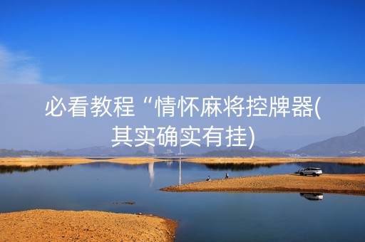 必看教程“情怀麻将控牌器(其实确实有挂)