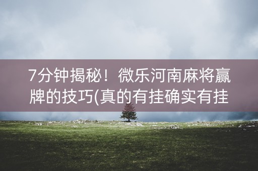 7分钟揭秘！微乐河南麻将赢牌的技巧(真的有挂确实有挂)