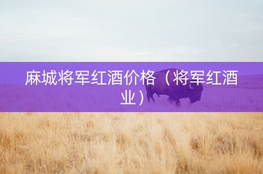 麻城将军红酒价格（将军红酒业）