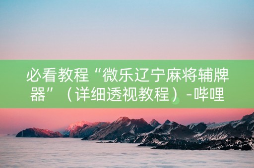 必看教程“微乐辽宁麻将辅牌器”（详细透视教程）-哔哩哔哩