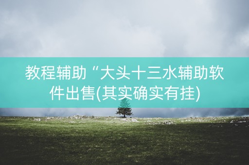 教程辅助“大头十三水辅助软件出售(其实确实有挂)