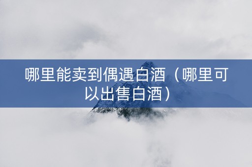 哪里能卖到偶遇白酒（哪里可以出售白酒）
