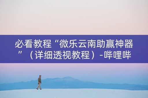 必看教程“微乐云南助赢神器”（详细透视教程）-哔哩哔哩