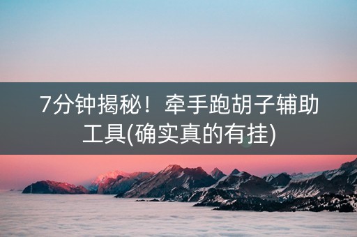 7分钟揭秘！牵手跑胡子辅助工具(确实真的有挂)