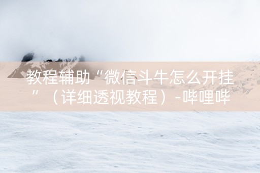 教程辅助“微信斗牛怎么开挂”（详细透视教程）-哔哩哔哩