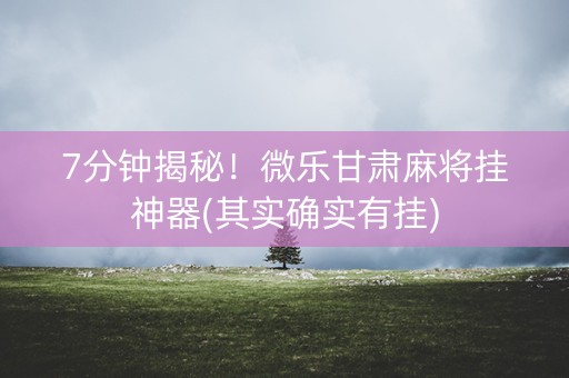 7分钟揭秘！微乐甘肃麻将挂神器(其实确实有挂)