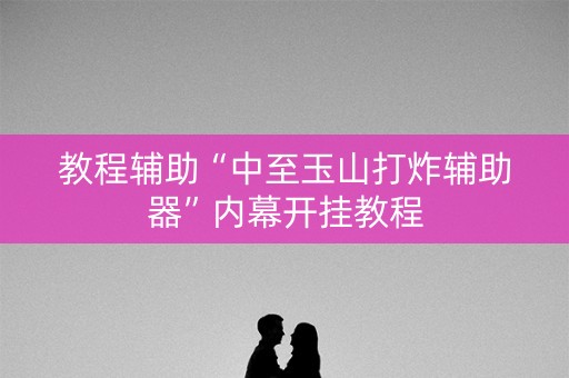 教程辅助“中至玉山打炸辅助器”内幕开挂教程