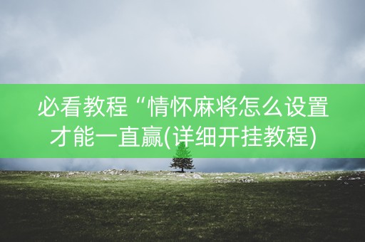 必看教程“情怀麻将怎么设置才能一直赢(详细开挂教程)