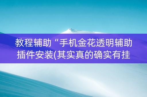 教程辅助“手机金花透明辅助插件安装(其实真的确实有挂)