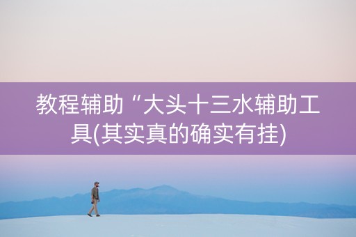 教程辅助“大头十三水辅助工具(其实真的确实有挂)