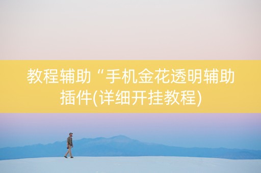 教程辅助“手机金花透明辅助插件(详细开挂教程)