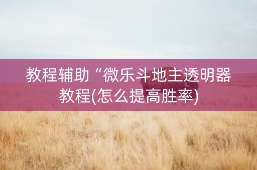 教程辅助“微乐斗地主透明器教程(怎么提高胜率)