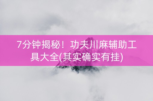 7分钟揭秘！功夫川麻辅助工具大全(其实确实有挂)