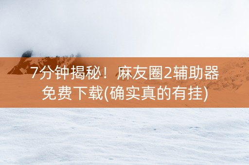 7分钟揭秘！麻友圈2辅助器免费下载(确实真的有挂)