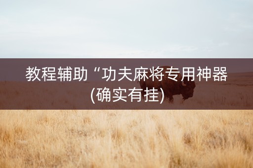 教程辅助“功夫麻将专用神器(确实有挂)