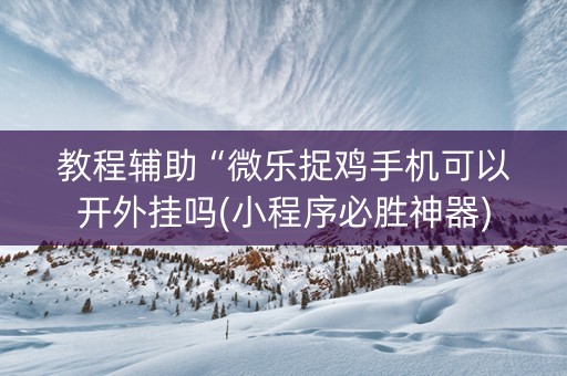 教程辅助“微乐捉鸡手机可以开外挂吗(小程序必胜神器)