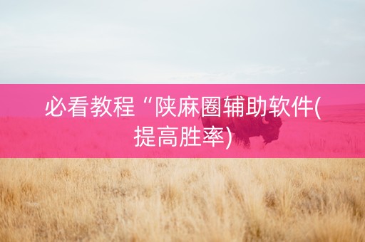 必看教程“陕麻圈辅助软件(提高胜率)