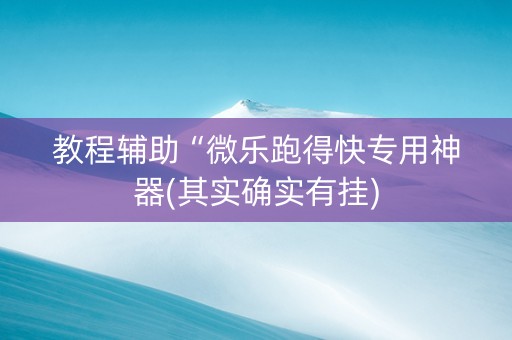 教程辅助“微乐跑得快专用神器(其实确实有挂)