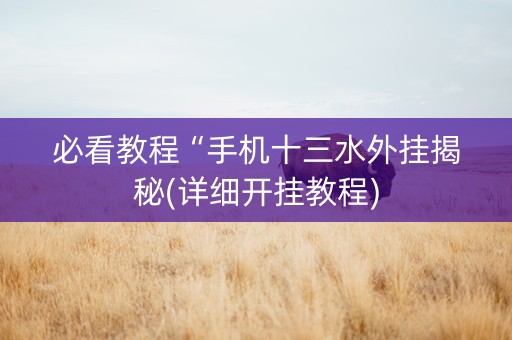 必看教程“手机十三水外挂揭秘(详细开挂教程)