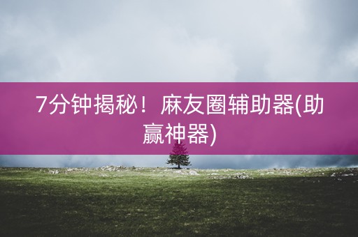 7分钟揭秘！麻友圈辅助器(助赢神器)
