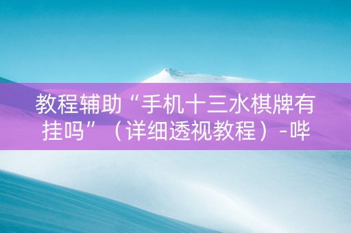 教程辅助“手机十三水棋牌有挂吗”（详细透视教程）-哔哩哔哩