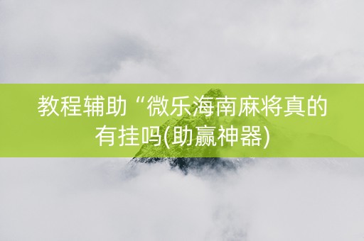 教程辅助“微乐海南麻将真的有挂吗(助赢神器)