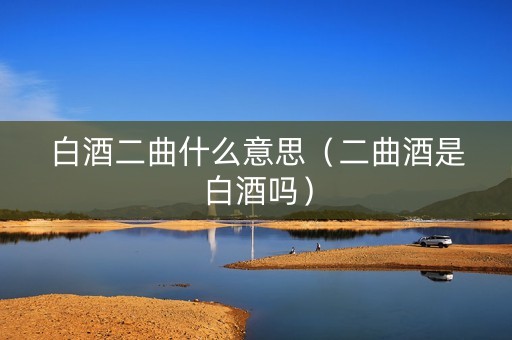 白酒二曲什么意思（二曲酒是白酒吗）