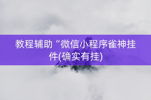 教程辅助“微信小程序雀神挂件(确实有挂)