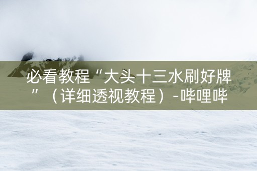 必看教程“大头十三水刷好牌”（详细透视教程）-哔哩哔哩