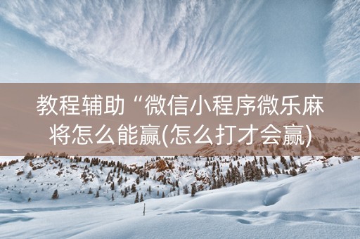 教程辅助“微信小程序微乐麻将怎么能赢(怎么打才会赢)